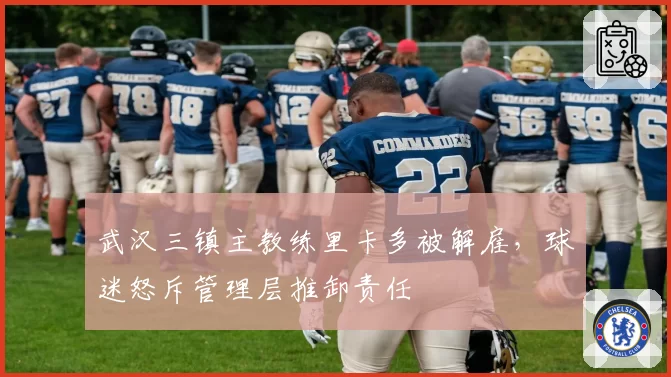 武汉三镇主教练里卡多被解雇，球迷怒斥管理层推卸责任