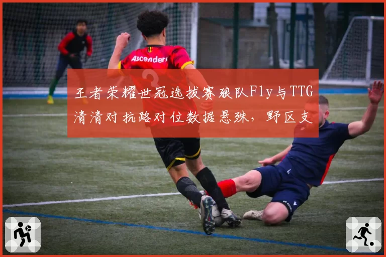 王者荣耀世冠选拔赛狼队Fly与TTG清清对抗路对位数据悬殊，野区支援率差达40%